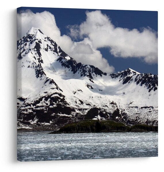 Obraz - Národní park Kenai Fjords (30x30 cm)