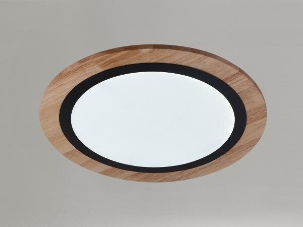 LED Stmívatelné stropní svítidlo LED/25W/230V 3000-6500K + dálkové ovládání