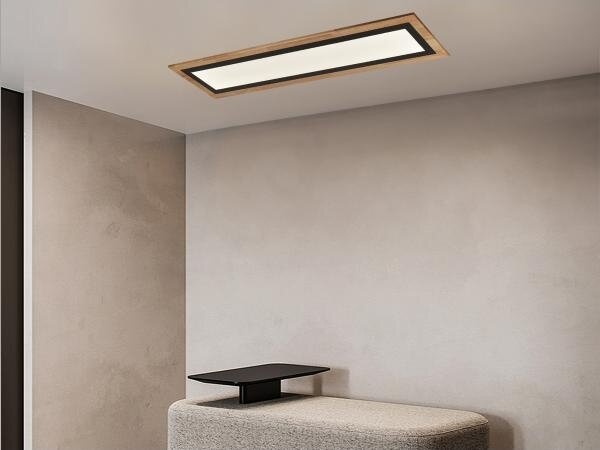 LED Stmívatelné stropní svítidlo LED/55W/230V 3000-6500K + dálkové ovládání