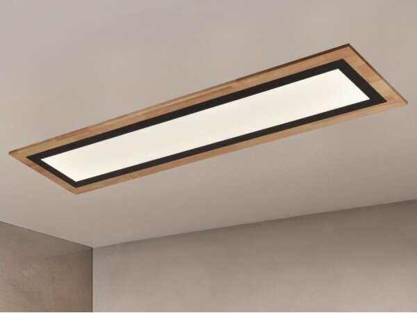 LED Stmívatelné stropní svítidlo LED/55W/230V 3000-6500K + dálkové ovládání