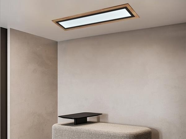 LED Stmívatelné stropní svítidlo LED/55W/230V 3000-6500K + dálkové ovládání
