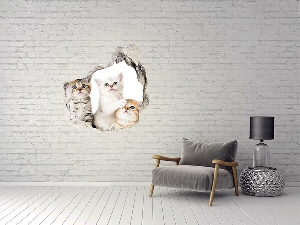 Díra 3D fototapeta nástěnná Nálepka koťátka nd-p-162169974