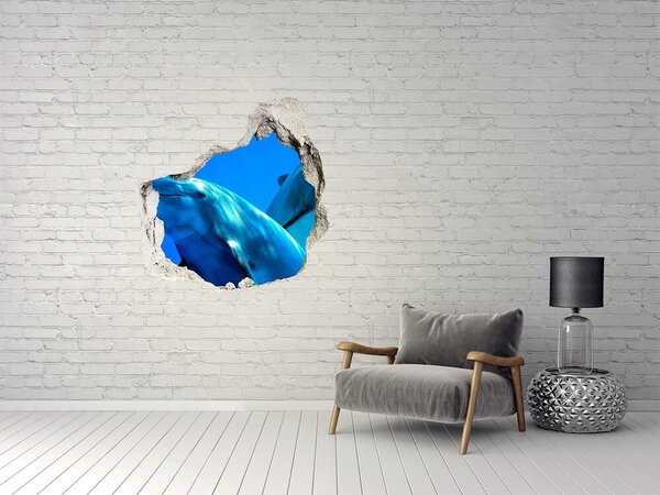 Díra 3D fototapeta nástěnná Dva delfíni nd-p-16277956