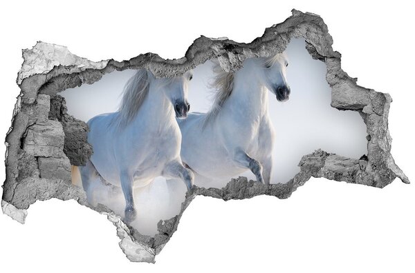 Díra 3D fototapeta na stěnu Dva koně ve sněhu nd-b-46568530