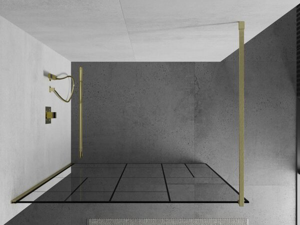 Mexen Kioto sprchová stěna Walk-in 80 x 200 cm, černý vzor 8 mm, zlatá kartáčovaná - 800-080-101-55-78