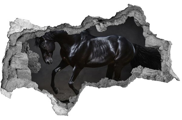 Díra 3D fototapeta na stěnu Černý kůň nd-b-47712826