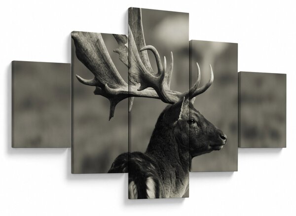Obraz - Jelen (125x70 cm)