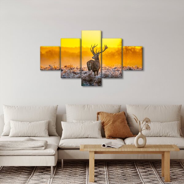 Obraz - Jelen při východu slunce (125x70 cm)