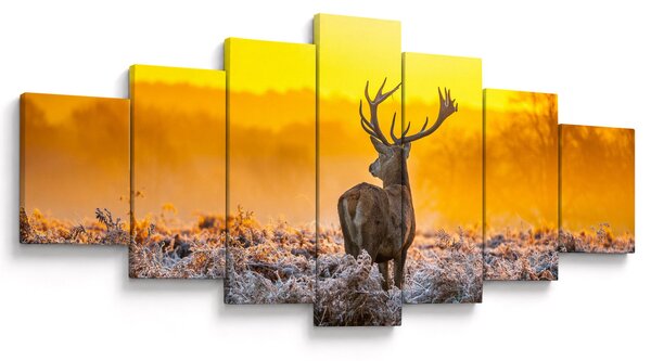 Obraz - Jelen při východu slunce (210x100 cm)