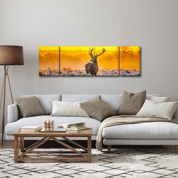 Obraz - Jelen při východu slunce (170x50 cm)