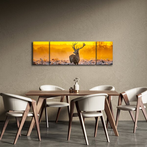 Obraz - Jelen při východu slunce (170x50 cm)