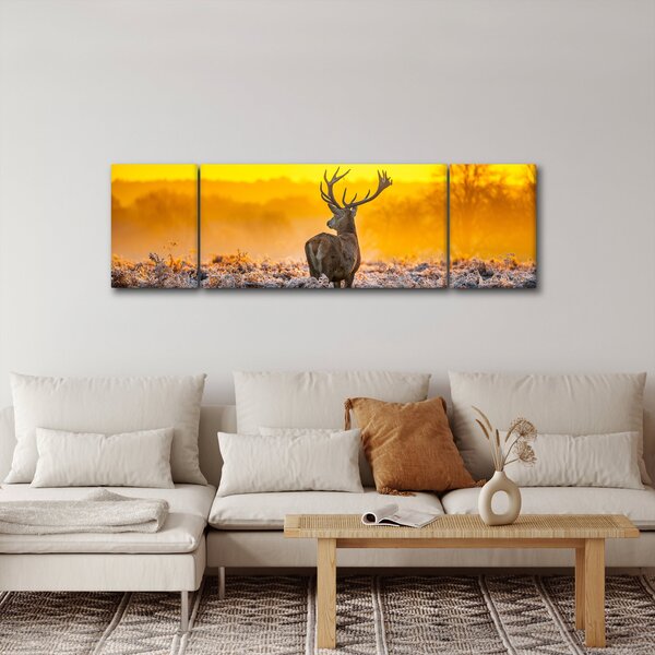 Obraz - Jelen při východu slunce (170x50 cm)
