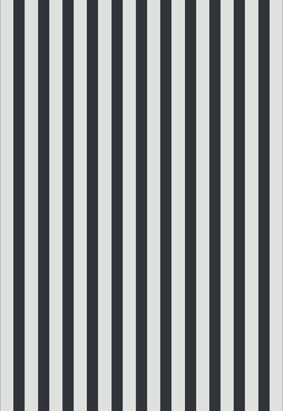 Bavlněné povlečení MONOLINE černo-bílé Rozměr povlečení: 70 x 80 cm | 140 x 200 cm