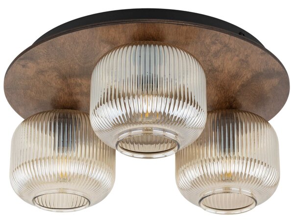 TK Lighting Stropní přisazené svítidlo 11068 SALVIA hnědá