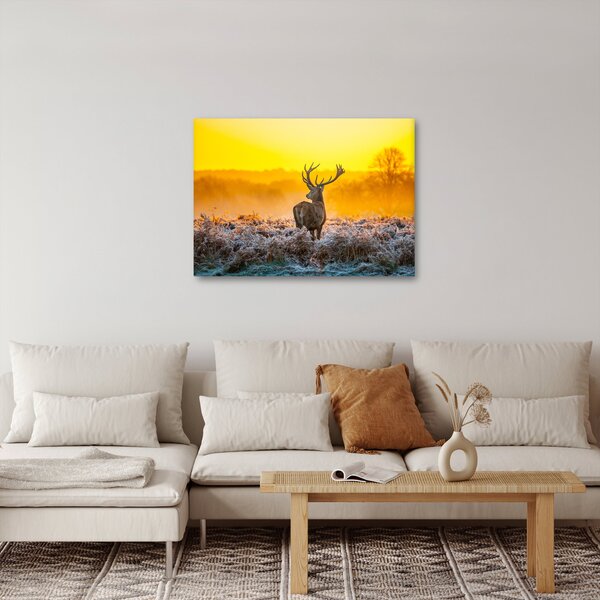 Obraz - Jelen při východu slunce (70x50 cm)