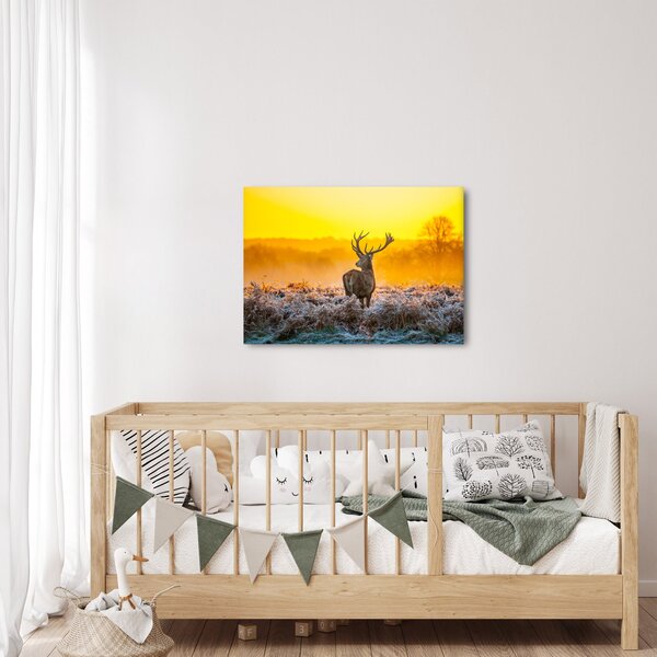 Obraz - Jelen při východu slunce (70x50 cm)