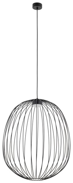 TK Lighting Závěsné svítidlo na lanku 11301 SPHERA L černá