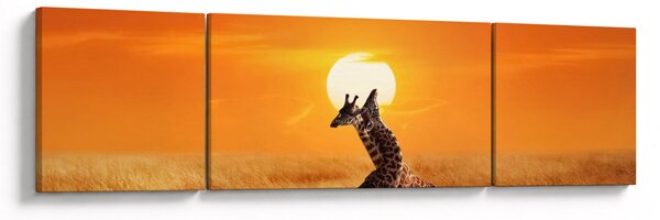 Obraz - Žirafy v národním parku Serengeti (170x50 cm)