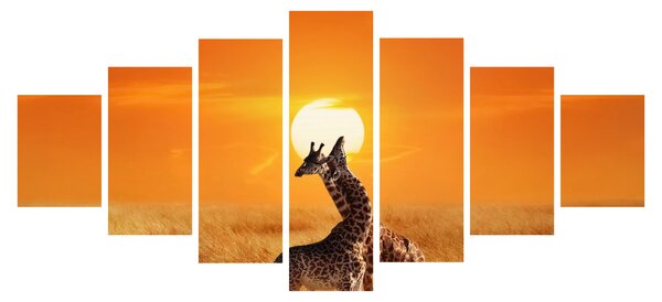 Obraz - Žirafy v národním parku Serengeti (210x100 cm)