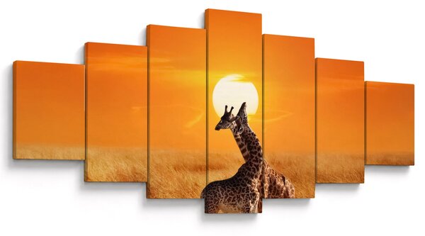Obraz - Žirafy v národním parku Serengeti (210x100 cm)