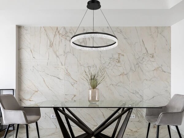 LED Stmívatelný lustr na lanku ALIANZ LED/60W/230V 3000-6000K + dálkové ovládání