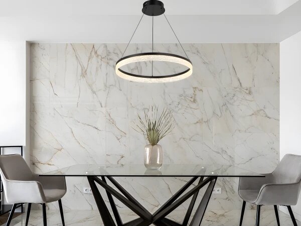 LED Stmívatelný lustr na lanku ALIANZ LED/60W/230V 3000-6000K + dálkové ovládání