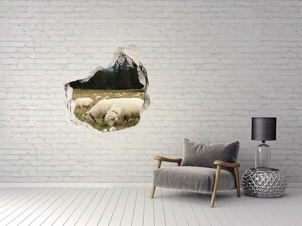 Díra 3D fototapeta nálepka Pasící se ovce nd-p-197671747