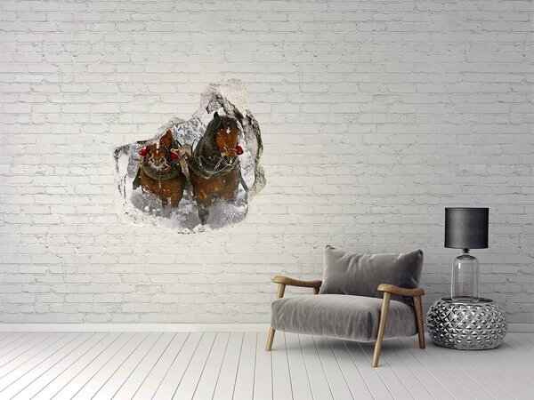 Díra 3D fototapeta na stěnu nálepka Sáně jízda nd-p-2040234