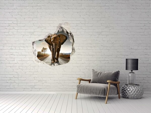 Díra 3D fototapeta na stěnu Slon nd-p-25742331