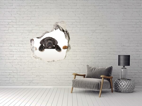 Díra 3D fototapeta nálepka Tři štěňátka nd-p-75383603