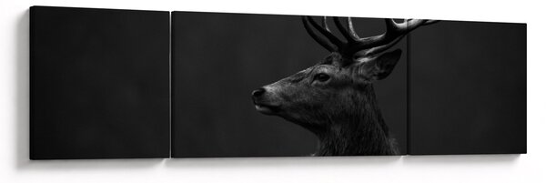 Obraz - Portrét jelena (170x50 cm)