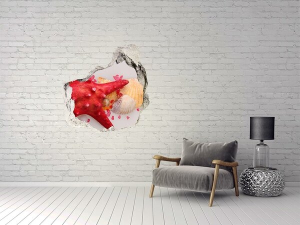 Díra 3D fototapeta Hvězdice a mušle nd-p-75838454