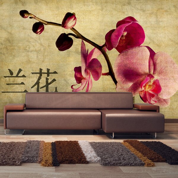 Fototapeta - Japonská orchidej 450x270 + zdarma lepidlo