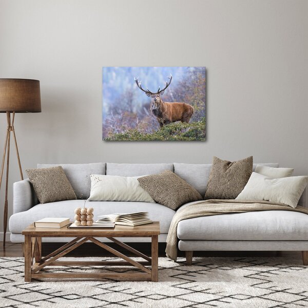 Obraz - Jelen v krajině (70x50 cm)