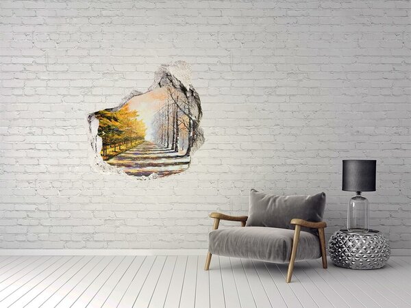 Díra 3D fototapeta nástěnná Podzim zima nd-p-26973667