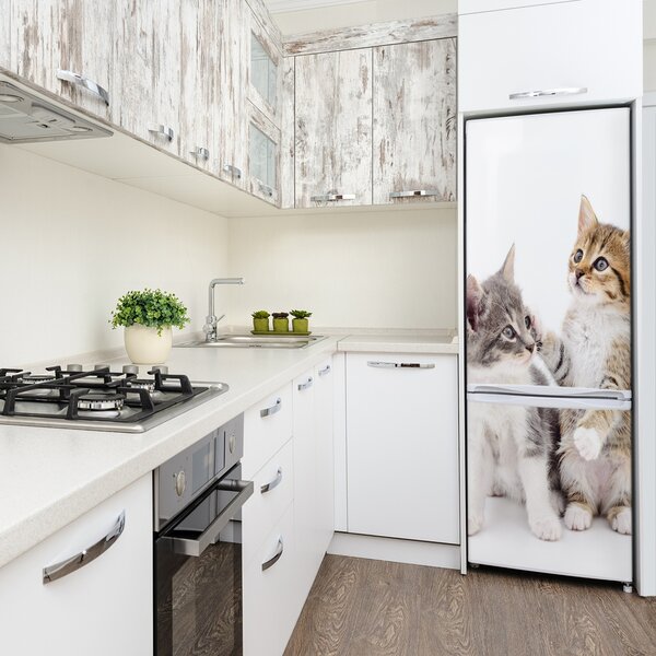 Nálepka fototapeta lednička Dvě kočičky FridgeStick-70x190-f-120060855