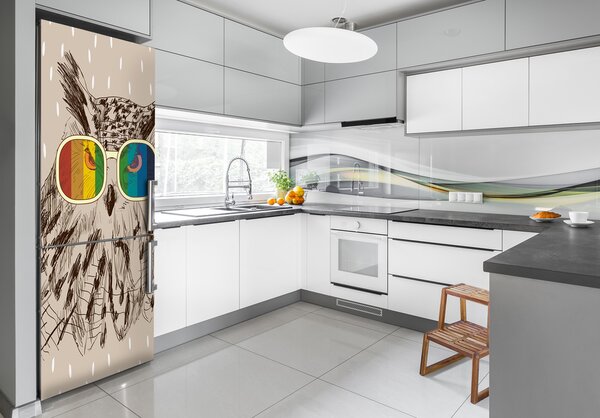 Nálepka fototapeta lednička Sovy v brýlích FridgeStick-70x190-f-120069226