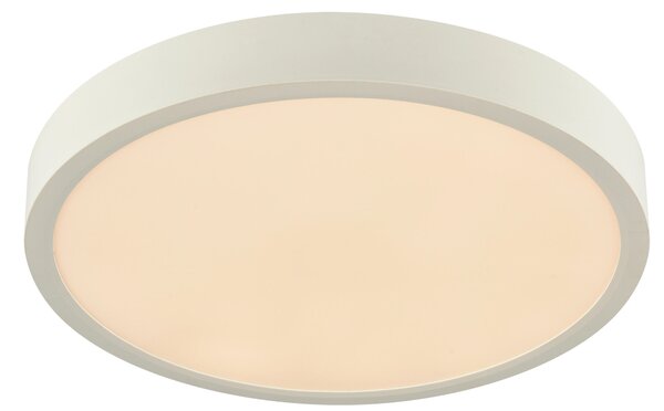 STROPNÍ LED SVÍTIDLO, 30/3,6 cm Boxxx - Stropní svítidla