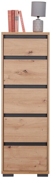 KOMODA, antracitová, barvy dubu, 40/120/48 cm Carryhome - Široké komody