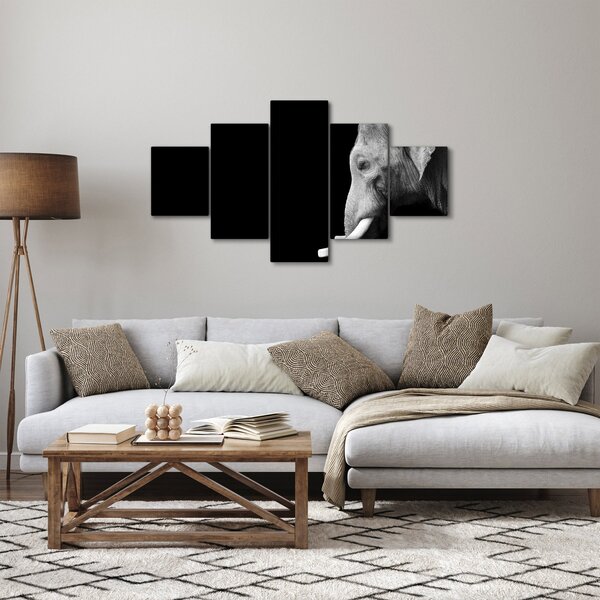 Obraz - Slon (125x70 cm)