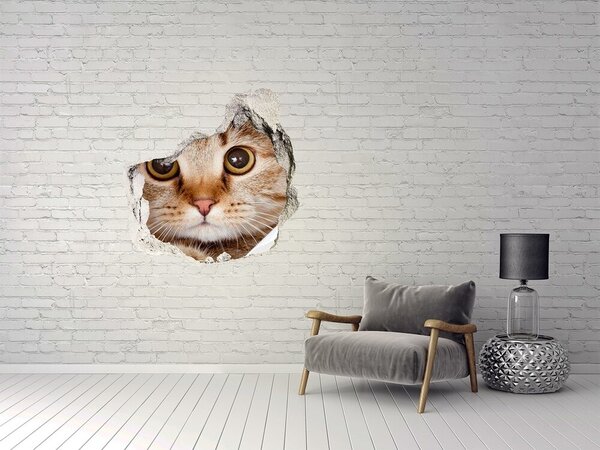 Díra 3D fototapeta nálepka Kočka nd-p-35664648