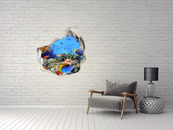 Díra 3D fototapeta nálepka Korálový útes nd-p-35544351