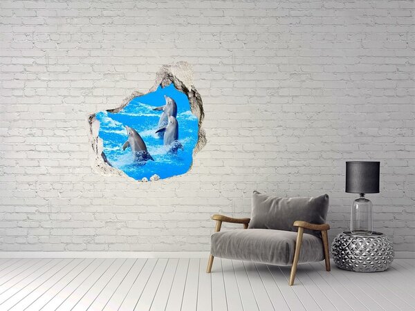 Díra 3D fototapeta na stěnu nálepka Delfíni nd-p-39687572