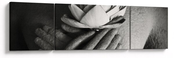 Obraz - Lotos v rukou Buddhy (170x50 cm)