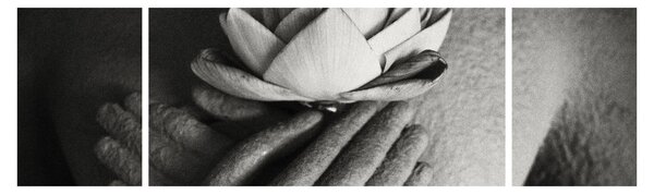 Obraz - Lotos v rukou Buddhy (170x50 cm)