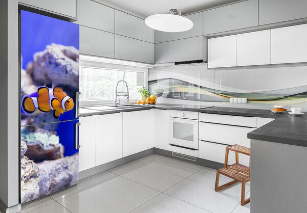Nálepka fototapeta lednička Raba Nemo FridgeStick-70x190-f-120479478
