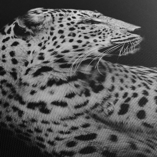 Obraz - Leopard (210x100 cm)