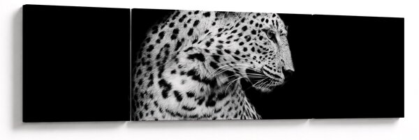 Obraz - Leopard (170x50 cm)