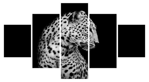 Obraz - Leopard (125x70 cm)
