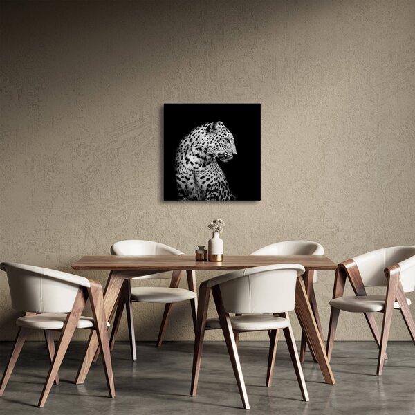 Obraz - Leopard (30x30 cm)